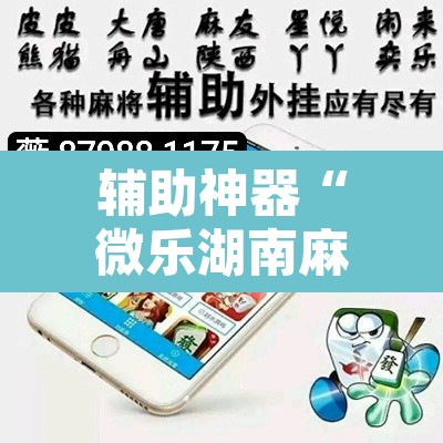 辅助神器“微乐湖南麻将可以开挂吗	”其实确实有挂