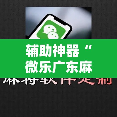 辅助神器“微乐广东麻将万能开挂器”(透视)其实确实有挂