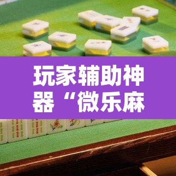 玩家辅助神器“微乐麻将挂试用一天”其实确实有挂