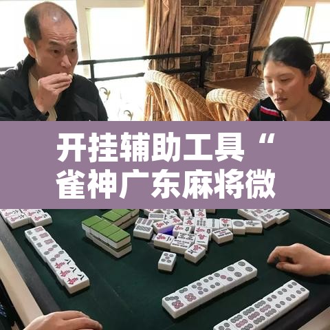 开挂辅助工具“雀神广东麻将微信挂”附辅助神器开挂脚本详细步骤
