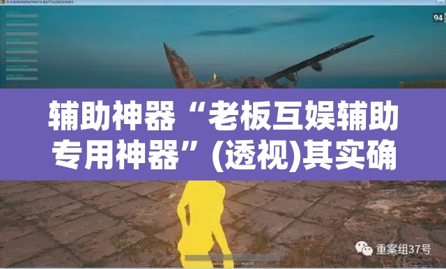 辅助神器“老板互娱辅助专用神器”(透视)其实确实有挂