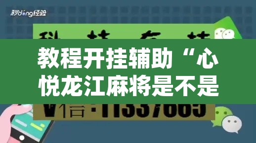 教程开挂辅助“心悦龙江麻将是不是有挂	”(透视挂)辅助透视教程