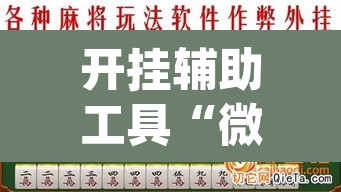 开挂辅助工具“微乐麻将挂先试用后付款	”(透视)其实确实有挂