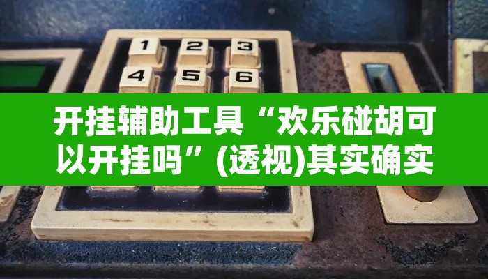 开挂辅助工具“欢乐碰胡可以开挂吗”(透视)其实确实有挂