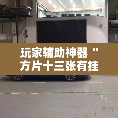 玩家辅助神器“方片十三张有挂吗”其实确实有挂