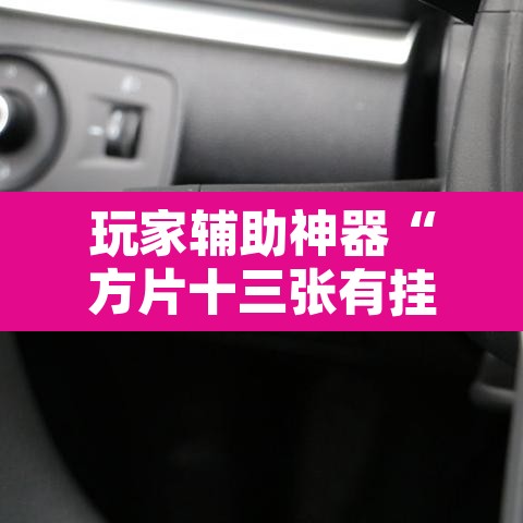 玩家辅助神器“方片十三张有挂吗”其实确实有挂