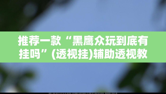 推荐一款“黑鹰众玩到底有挂吗”(透视挂)辅助透视教程