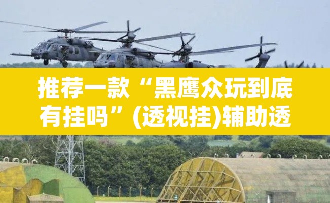 推荐一款“黑鹰众玩到底有挂吗”(透视挂)辅助透视教程