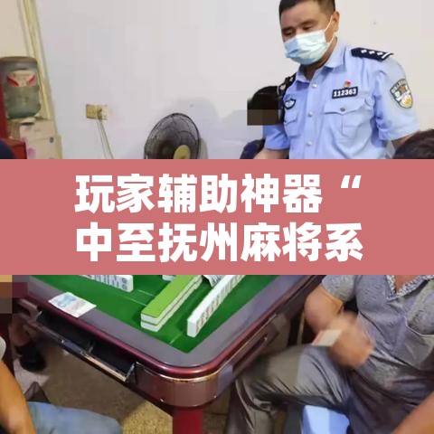 玩家辅助神器“中至抚州麻将系统作弊辅助工具”其实确实有挂