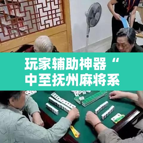 玩家辅助神器“中至抚州麻将系统作弊辅助工具	”其实确实有挂