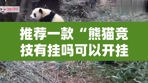 推荐一款“熊猫竞技有挂吗可以开挂吗	”(透视)其实确实有挂