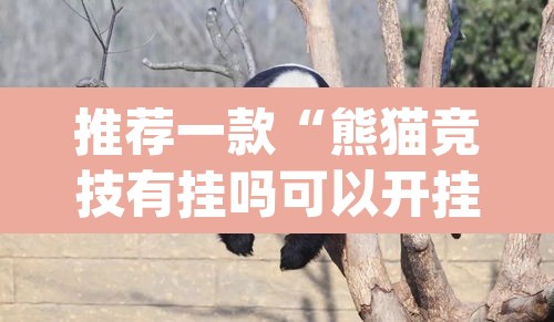 推荐一款“熊猫竞技有挂吗可以开挂吗”(透视)其实确实有挂
