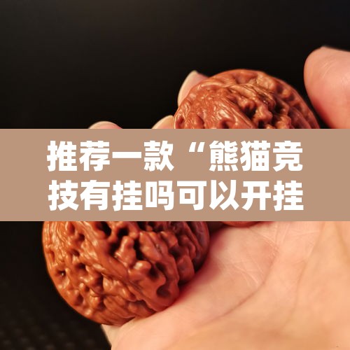 推荐一款“熊猫竞技有挂吗可以开挂吗”(透视)其实确实有挂