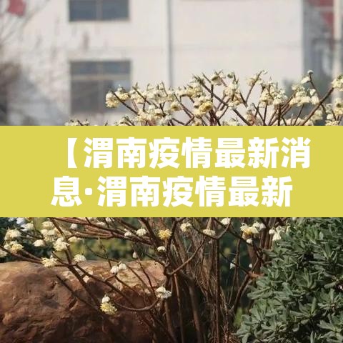 【渭南疫情最新消息·渭南疫情最新消息实时更新】 【渭南疫情最新消息·渭南疫情最新消息实时更新】