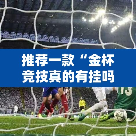 推荐一款“金杯竞技真的有挂吗”(透视挂)辅助透视教程