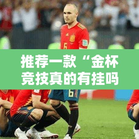 推荐一款“金杯竞技真的有挂吗”(透视挂)辅助透视教程