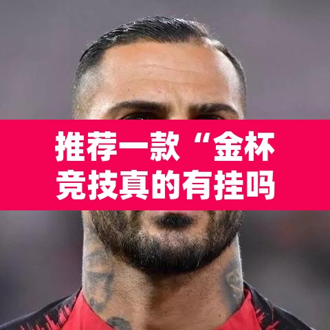 推荐一款“金杯竞技真的有挂吗”(透视挂)辅助透视教程