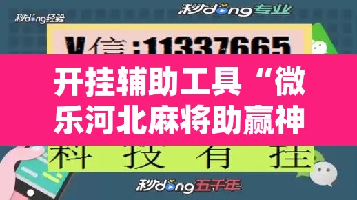 开挂辅助工具“微乐河北麻将助赢神器购买	”(透视挂)辅助透视教程
