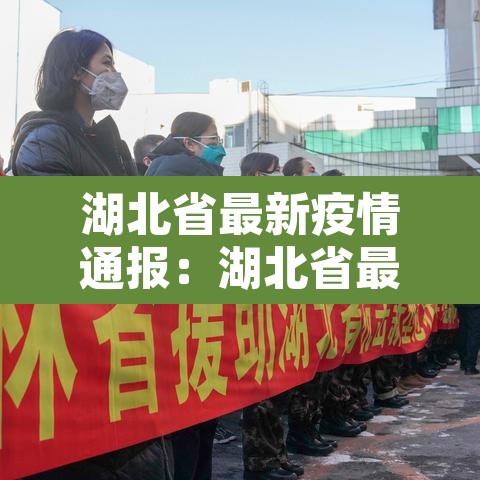 湖北省最新疫情通报:湖北省最新疫情通报新增 湖北省最新疫情通报:湖北省最新疫情通报新增