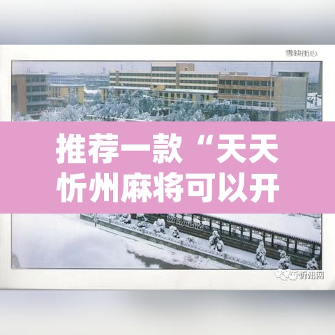 推荐一款“天天忻州麻将可以开挂吗”(透视挂)辅助透视教程