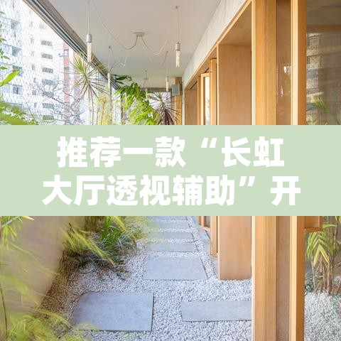 推荐一款“长虹大厅透视辅助”开挂辅助脚本+详细开挂安装教程