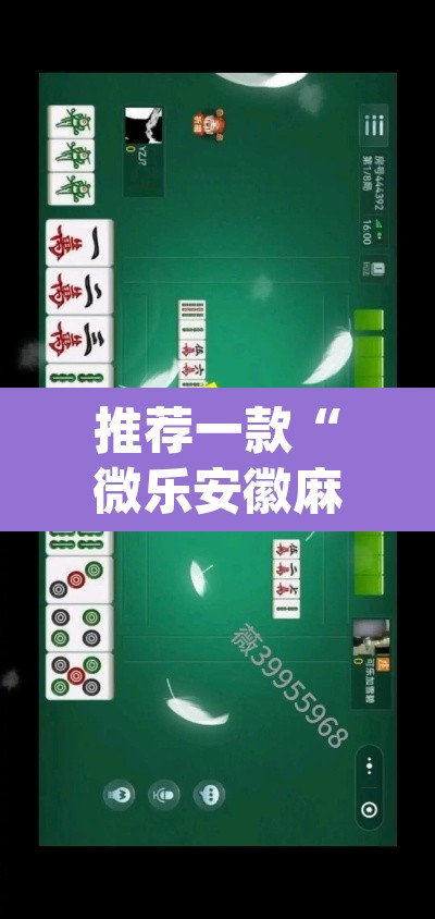 推荐一款“微乐安徽麻将开挂教程”(透视)其实确实有挂