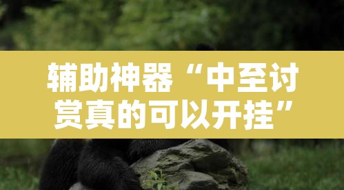 辅助神器“中至讨赏真的可以开挂”附辅助神器开挂脚本详细步骤