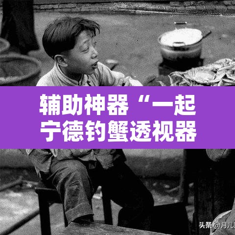 辅助神器“一起宁德钓蟹透视器”其实确实有挂