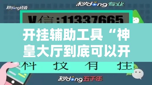 开挂辅助工具“神皇大厅到底可以开挂吗”(透视挂)辅助透视教程