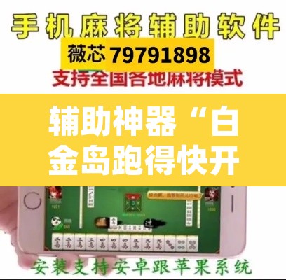 辅助神器“白金岛跑得快开挂神器”(透视挂)辅助透视教程