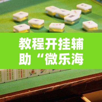 教程开挂辅助“微乐海南麻将开挂神器”其实确实有挂