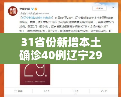 31省份新增本土确诊40例辽宁29例:辽宁新增本土确诊病例行动轨迹 31省份新增本土确诊40例辽宁29例:辽宁新增本土确诊病例行动轨迹