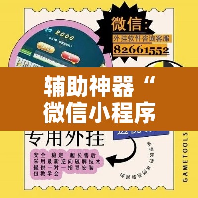 辅助神器“微信小程序家乡大贰开挂器”其实确实有挂