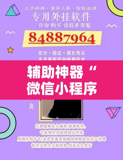 辅助神器“微信小程序家乡大贰开挂器”其实确实有挂