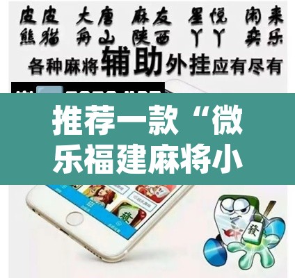 推荐一款“微乐福建麻将小程序挂	”(透视挂)辅助透视教程