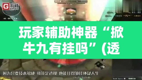 玩家辅助神器“掀牛九有挂吗”(透视)其实确实有挂
