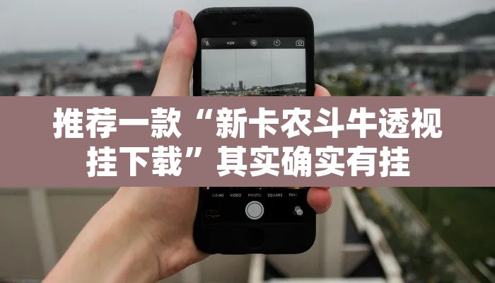 推荐一款“新卡农斗牛透视挂下载”其实确实有挂