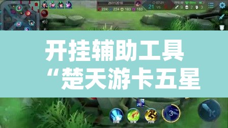 开挂辅助工具“楚天游卡五星辅助器”(透视)其实确实有挂