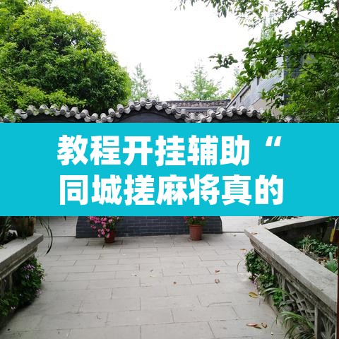 教程开挂辅助“同城搓麻将真的有挂”(透视)其实确实有挂