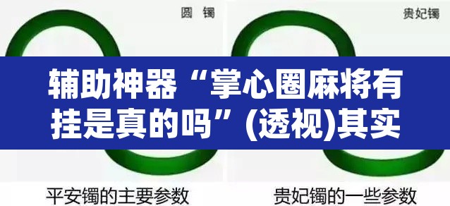 辅助神器“掌心圈麻将有挂是真的吗”(透视)其实确实有挂