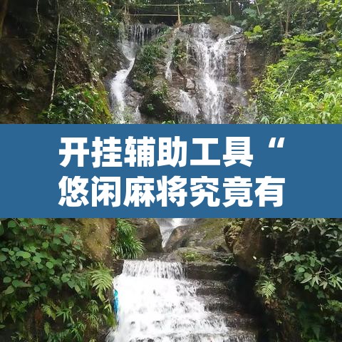 开挂辅助工具“悠闲麻将究竟有没有挂”(透视)其实确实有挂