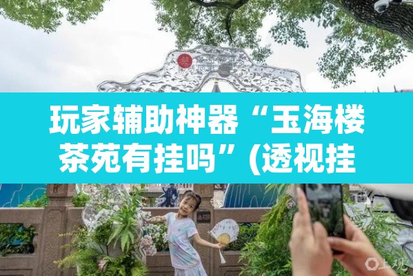 玩家辅助神器“玉海楼茶苑有挂吗”(透视挂)辅助透视教程