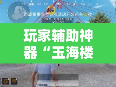 玩家辅助神器“玉海楼茶苑有挂吗”(透视挂)辅助透视教程