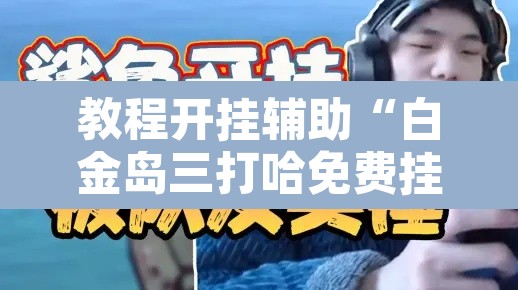 教程开挂辅助“白金岛三打哈免费挂”其实确实有挂