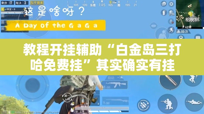 教程开挂辅助“白金岛三打哈免费挂”其实确实有挂