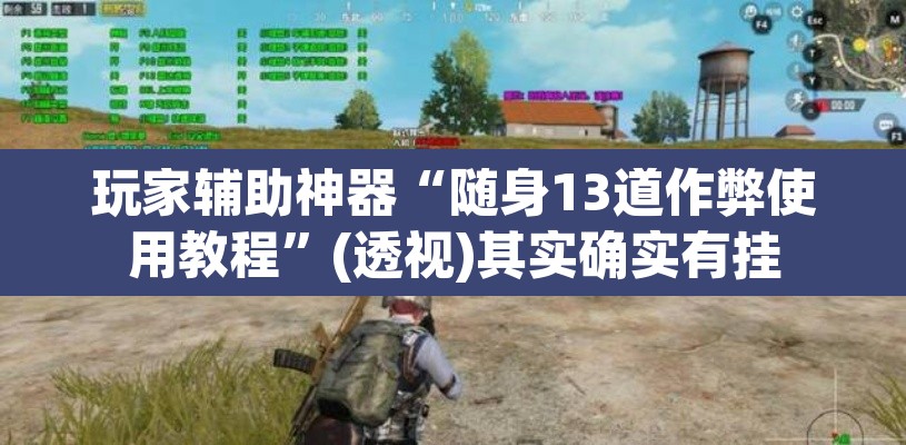 玩家辅助神器“随身13道作弊使用教程	”(透视)其实确实有挂