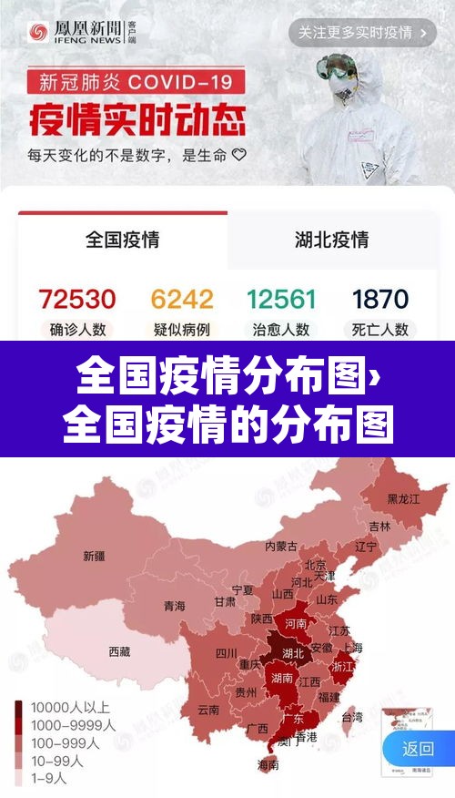 全国疫情分布图›全国疫情的分布图 全国疫情分布图›全国疫情的分布图