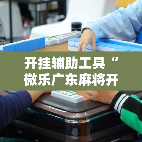开挂辅助工具“微乐广东麻将开挂免费软件”(透视挂)辅助透视教程