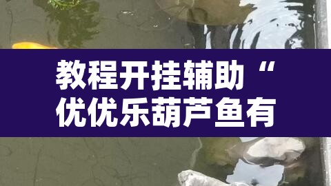 教程开挂辅助“优优乐葫芦鱼有挂吗”其实确实有挂