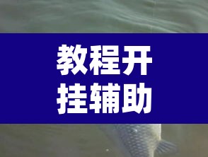 教程开挂辅助“优优乐葫芦鱼有挂吗”其实确实有挂